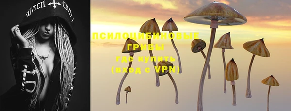 MDMA Каменка