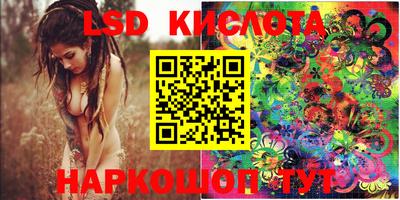 стаф Добрянка