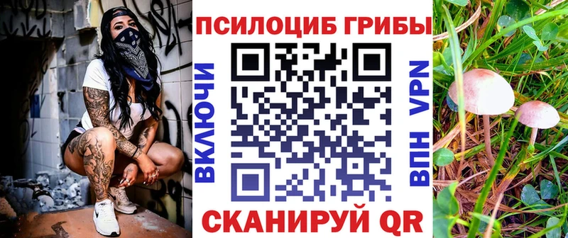 MEGA ONION  Кондопога  Псилоцибиновые грибы мицелий 