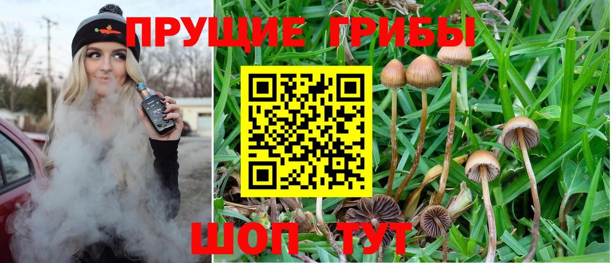 Псилоцибиновые грибы мицелий  Вход с VPN  Кондопога 